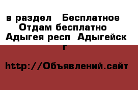 в раздел : Бесплатное » Отдам бесплатно . Адыгея респ.,Адыгейск г.